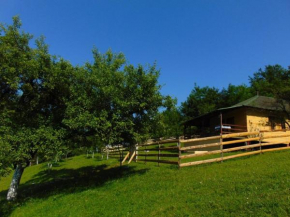 Отель Forest Lodge on the Pyramid  Високо